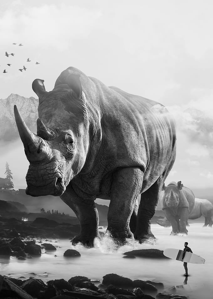 Rhino Beach