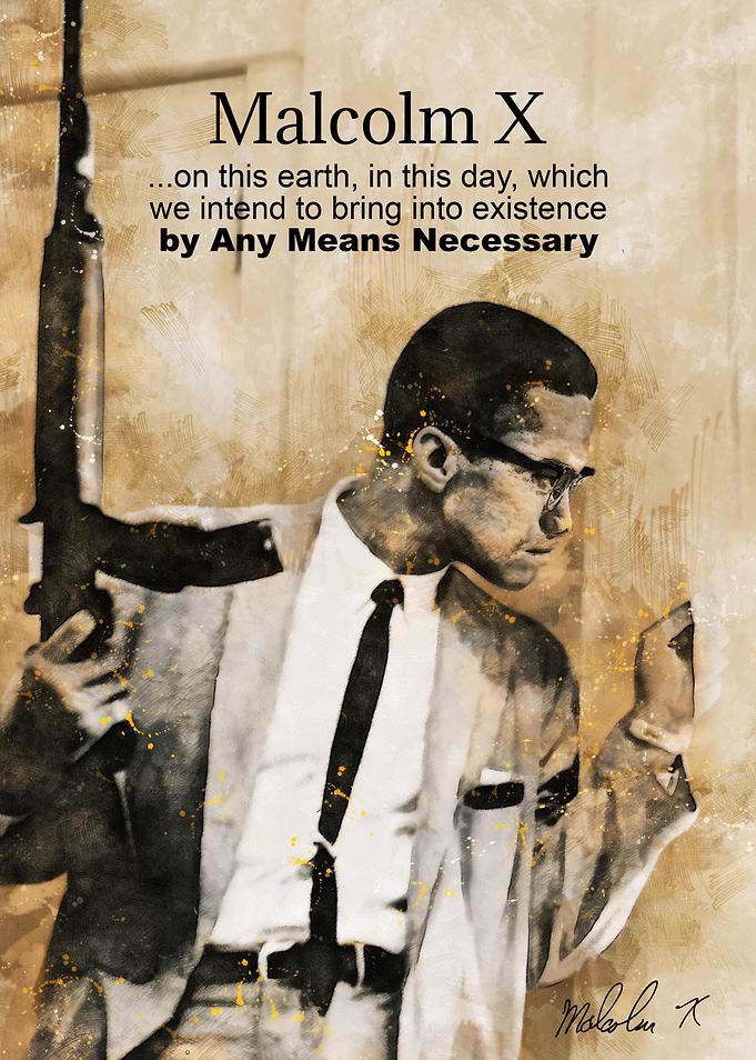 malcolm X quote 2