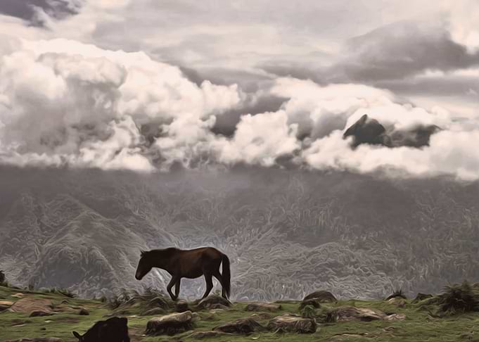 Landscape Art Animals