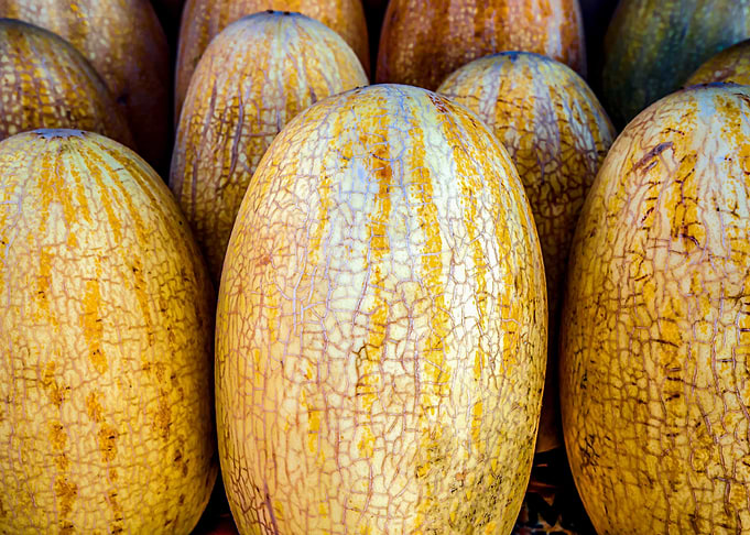 Yellow Melons Horizontal