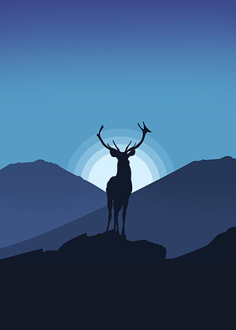 deer on the hill