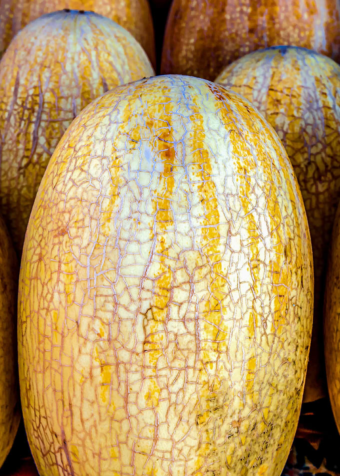 Yellow Melons Vertical
