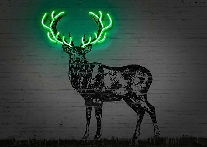 Deer