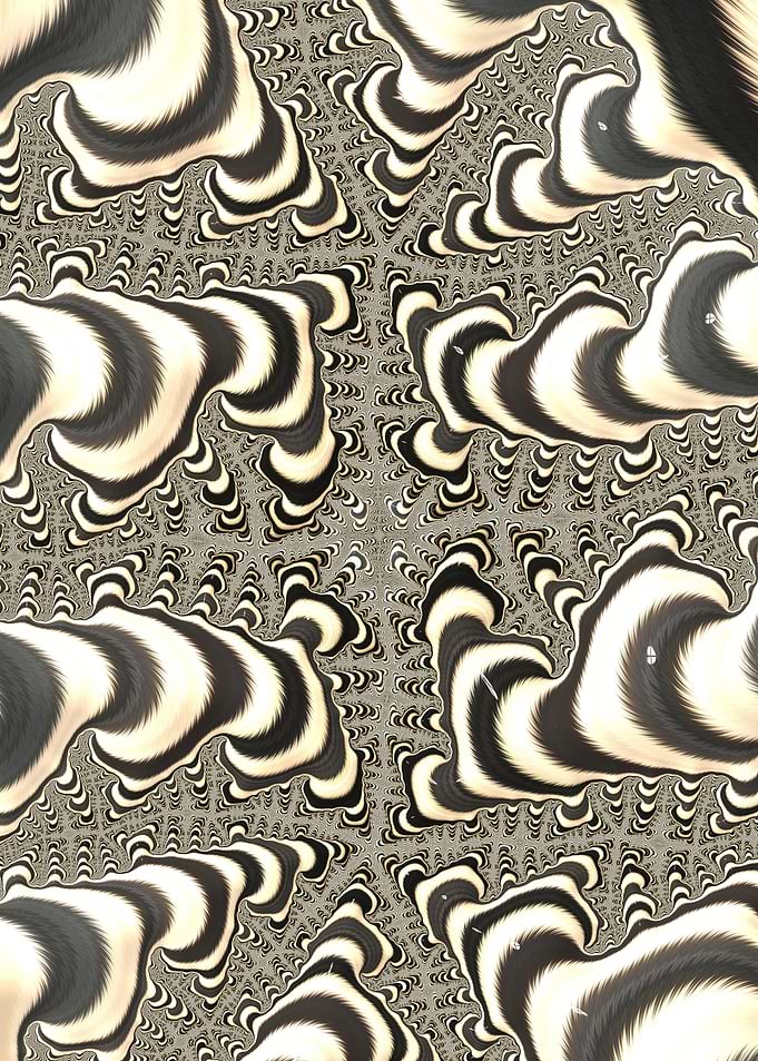 Trippy Zebras