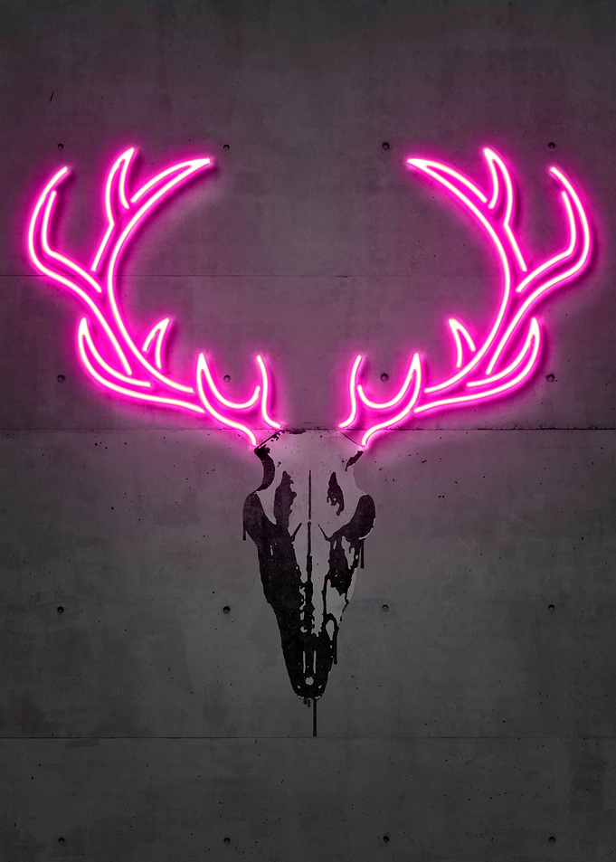 Deer skull