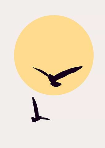 Birds In The Sky