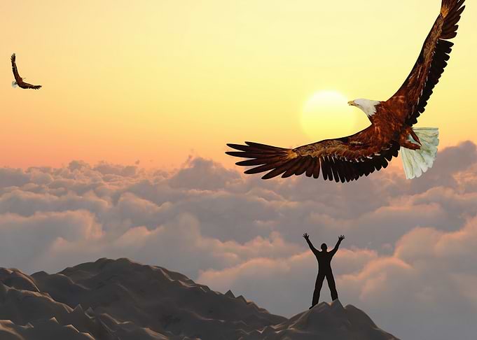 Freedom