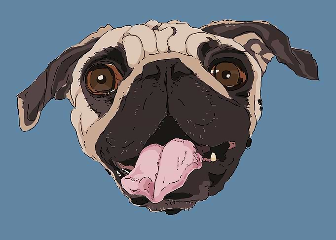 Pug Life