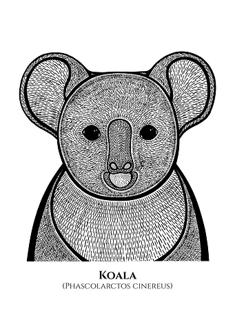 Koala with names