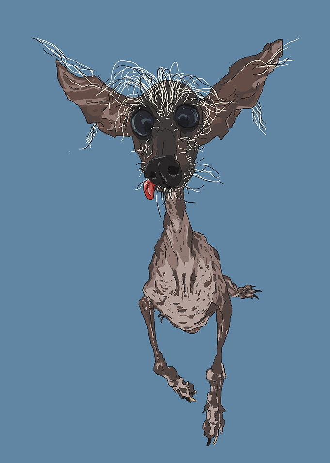 Rat Dog