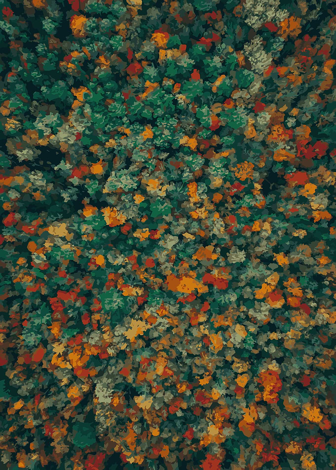 Colourful trees