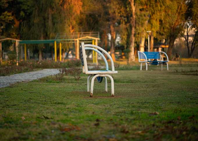 Bench in Garden