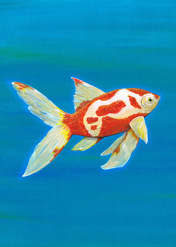 Goldfish