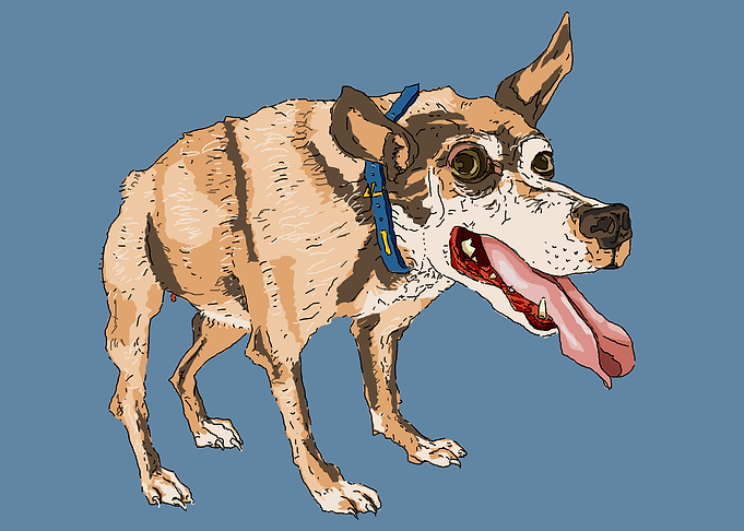 Quasi Doggo