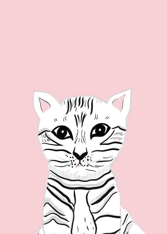 Baby Cat on Blush 1