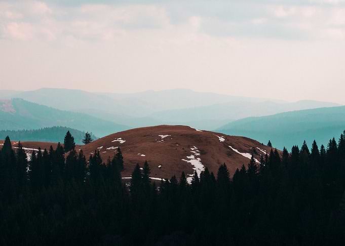 Barren hill by the woods