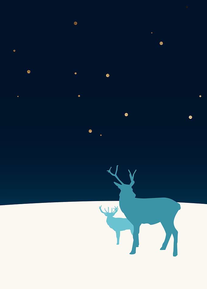 Snow Dear