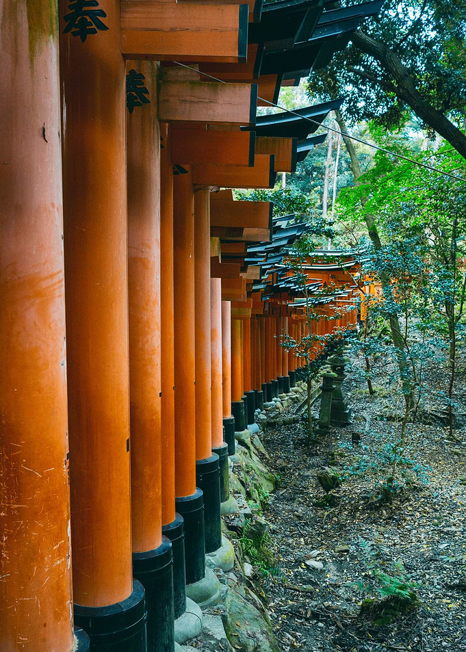 Orange Doors