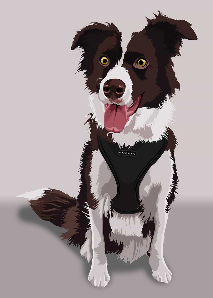 Hunting dog