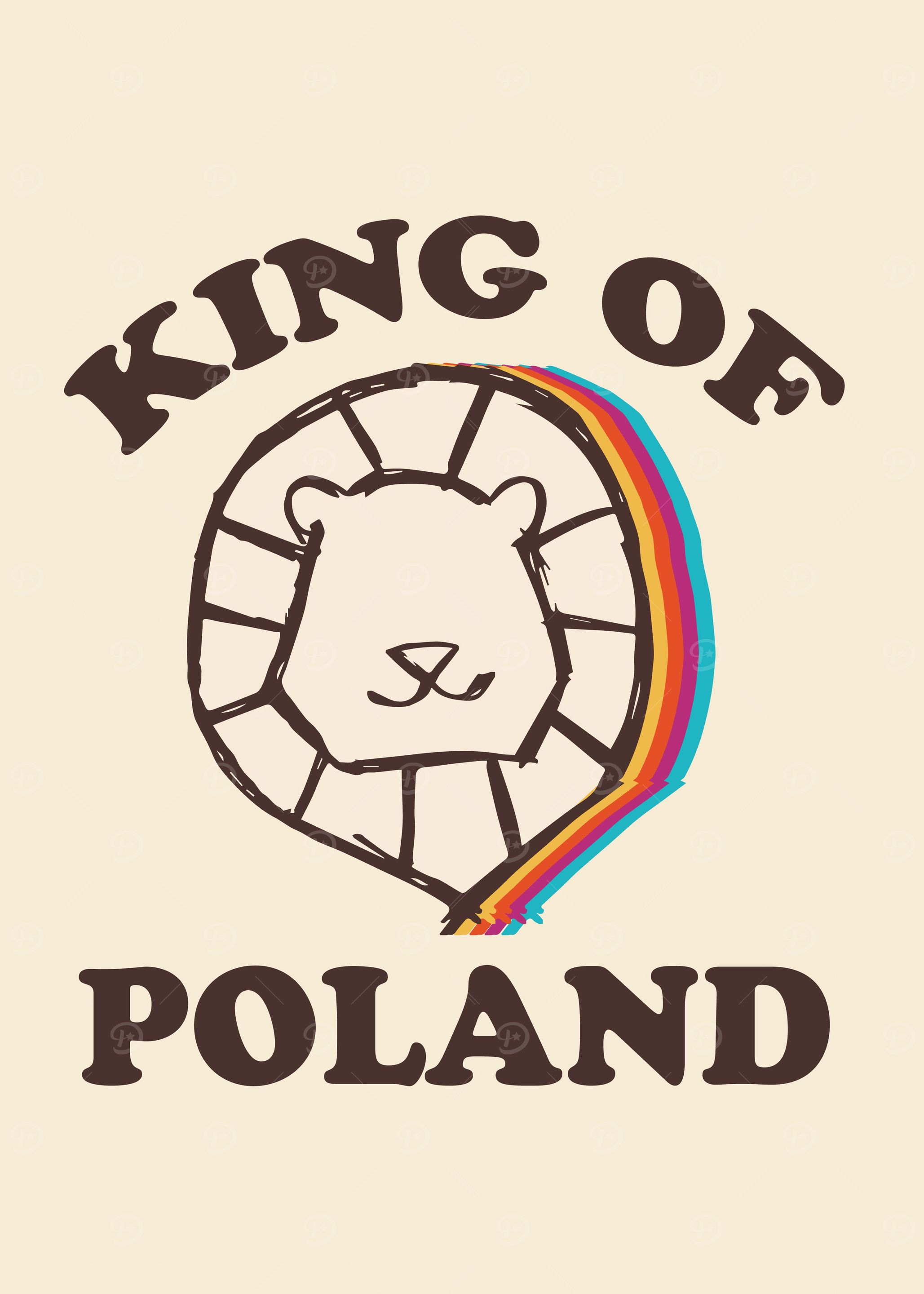 Vintage Lion Rainbow 2