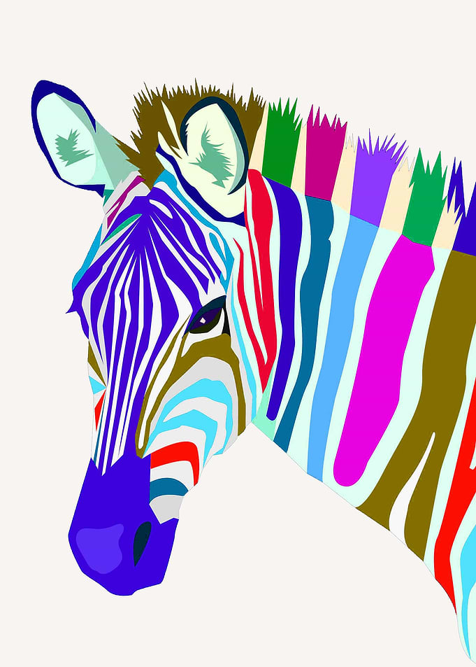 Rainbow Zebra