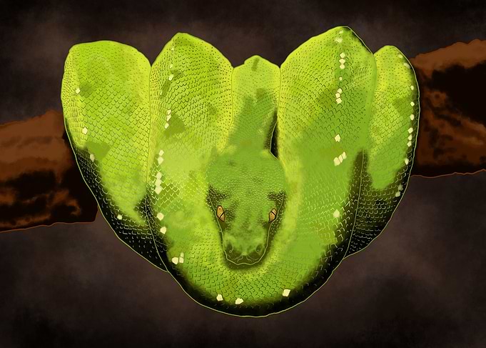 Green Boa
