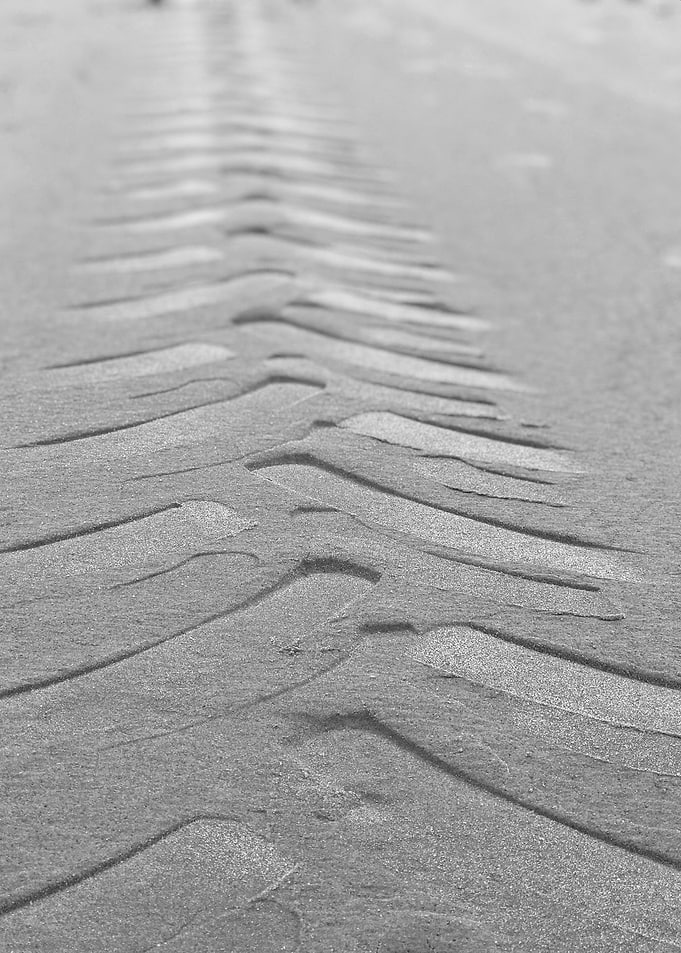 SANDS