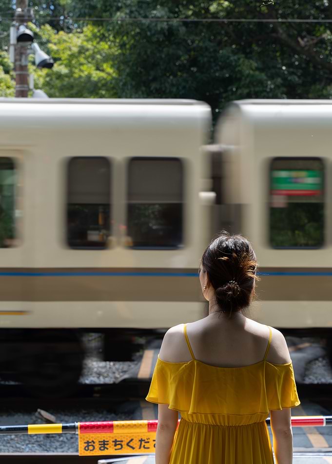 La fille du train