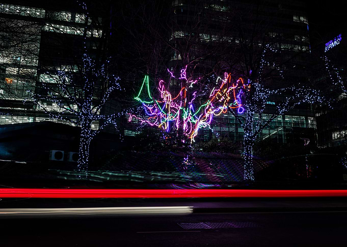 Neon Tree