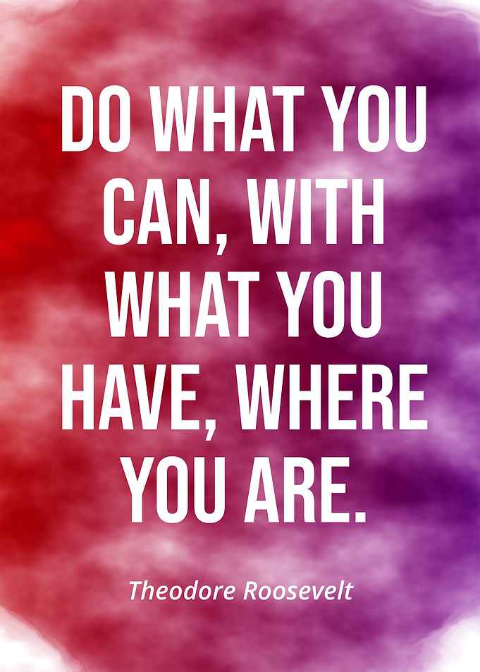 Theodore roosevelt quote
