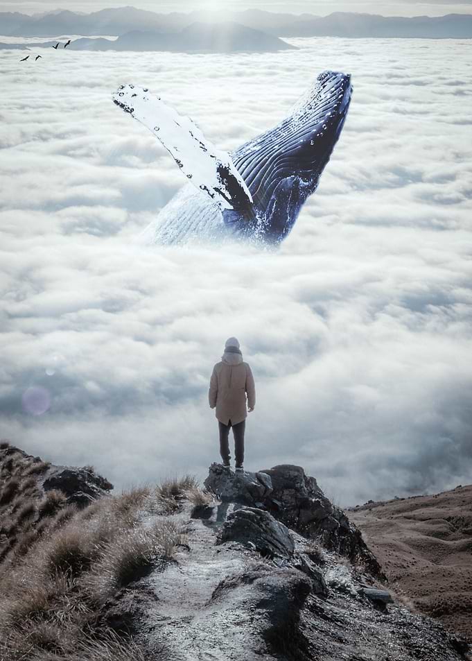 A whale plays in the cloud