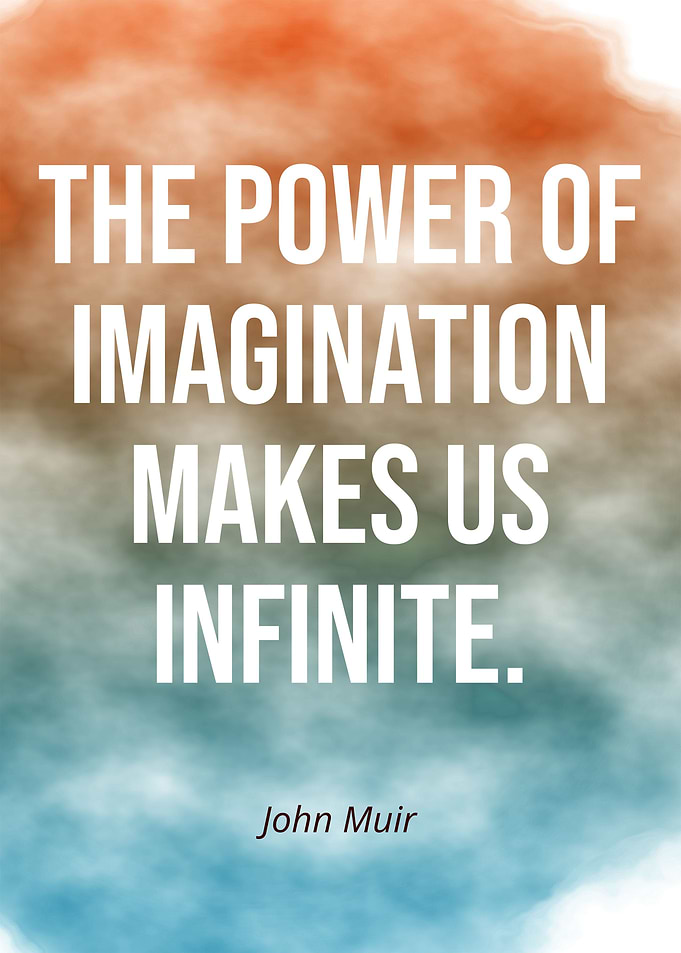 Imagination Quotes