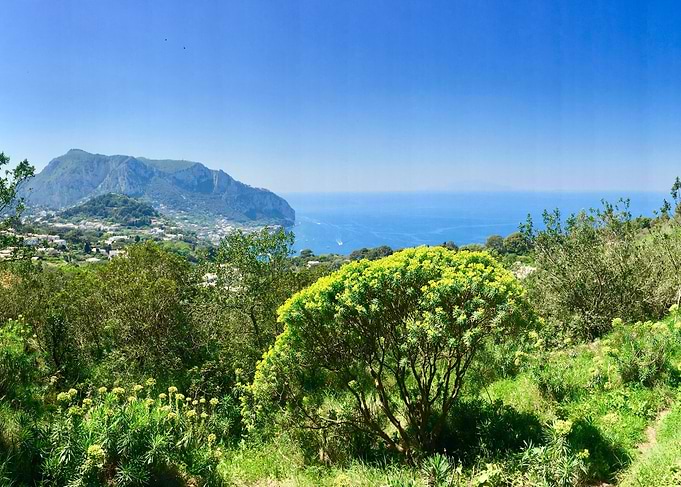 Capri Island