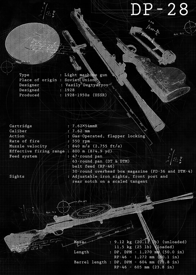 DP 28
