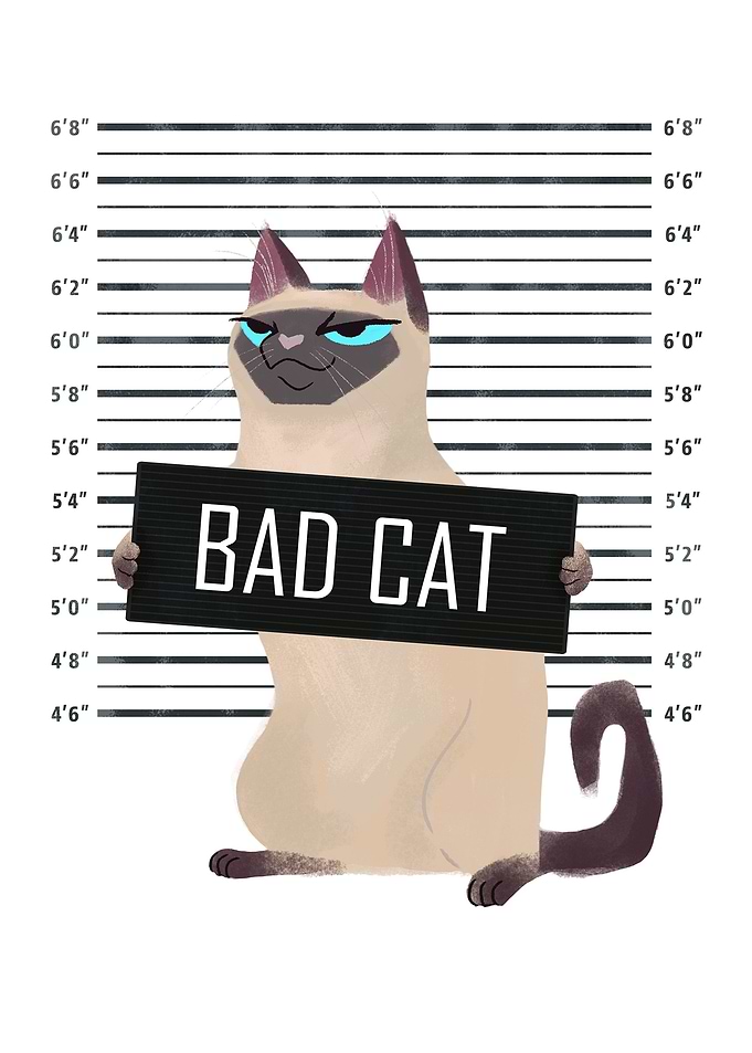 Bad Cat