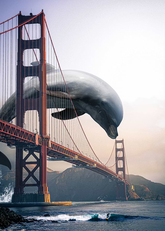 Dolphin Jumping