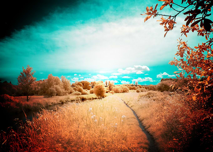 Earth Landscape Natu
