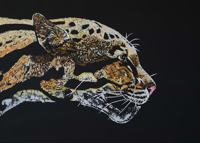 Serenity Clouded Leopard