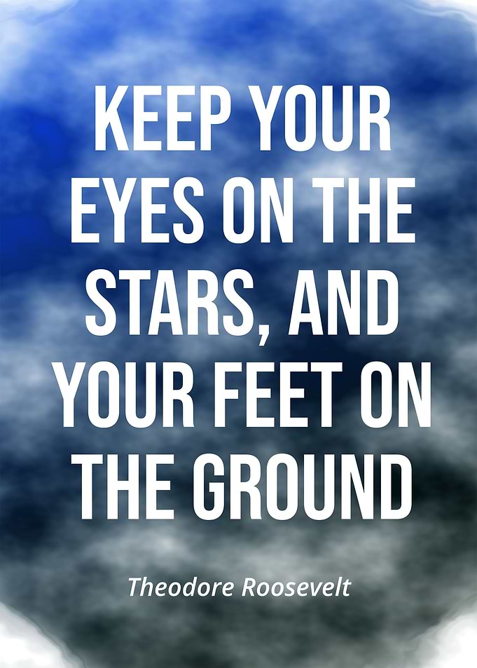 Theodore Roosevelt Quotes