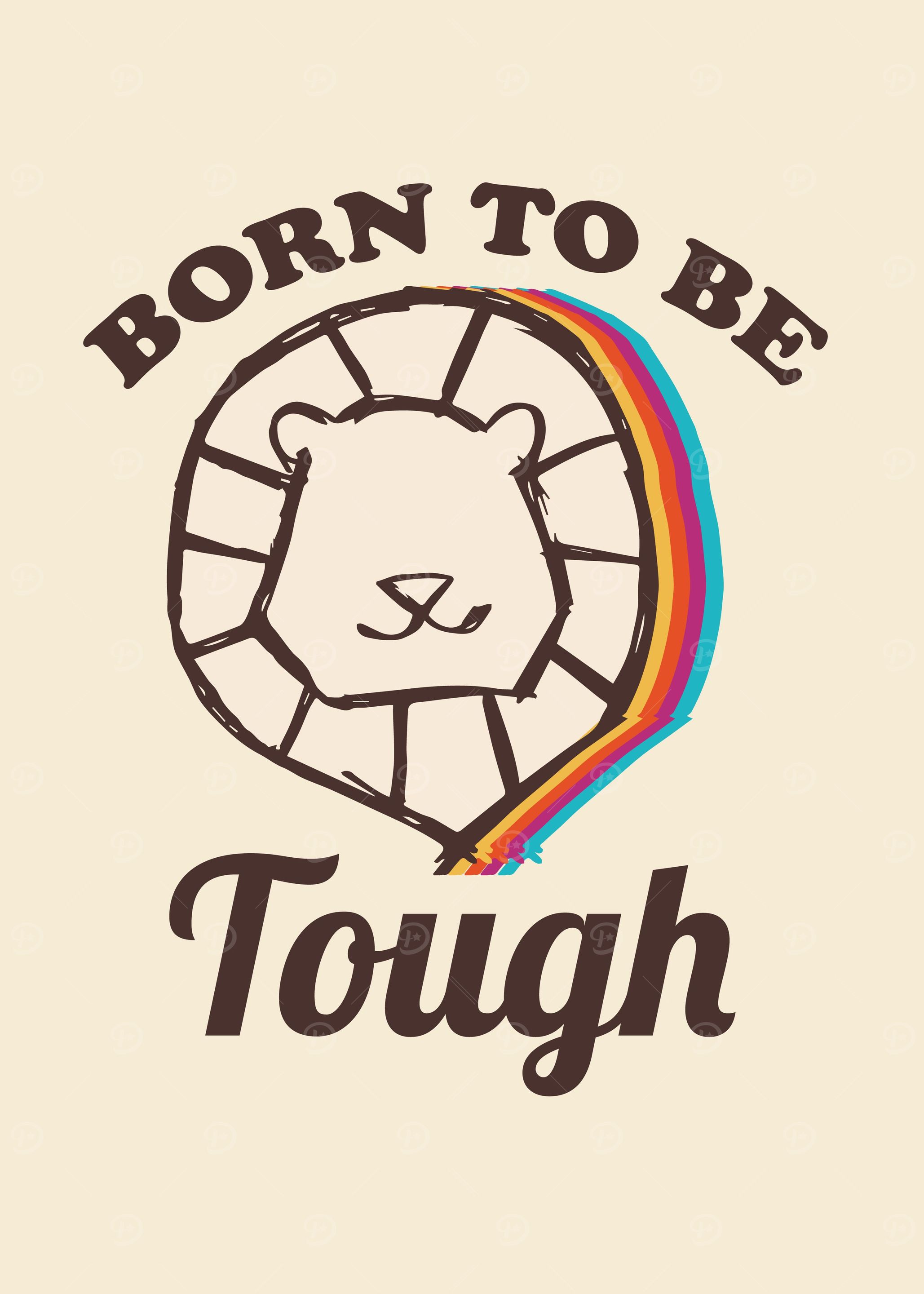 Vintage Lion Rainbow 41
