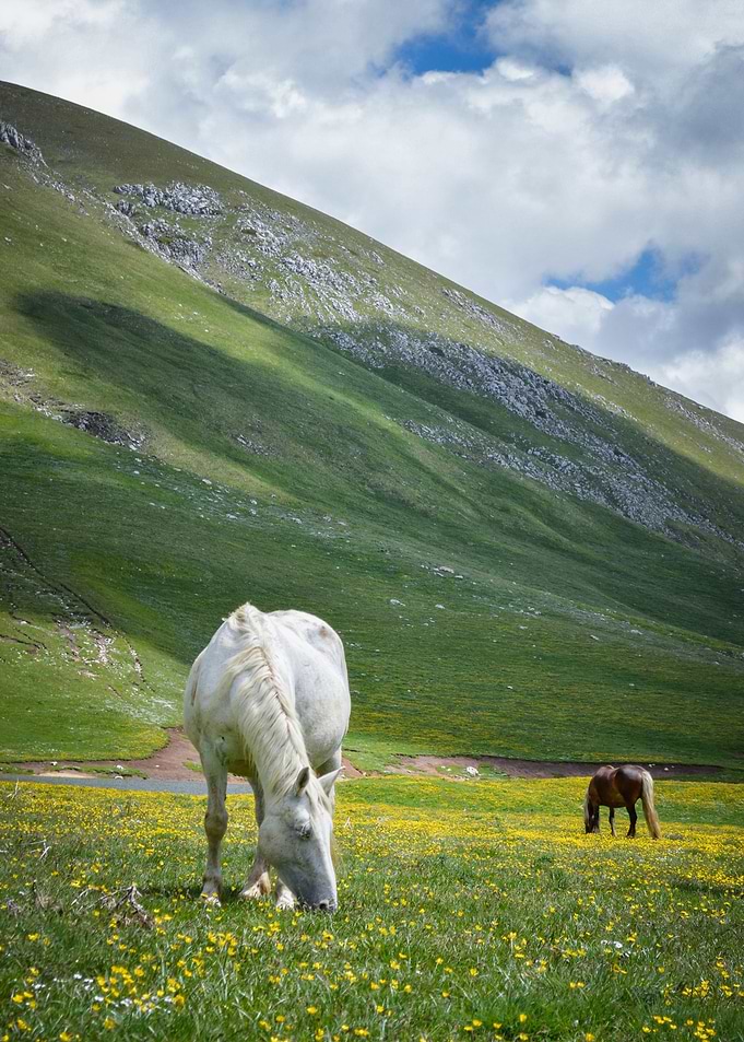 Into Little Tibet
