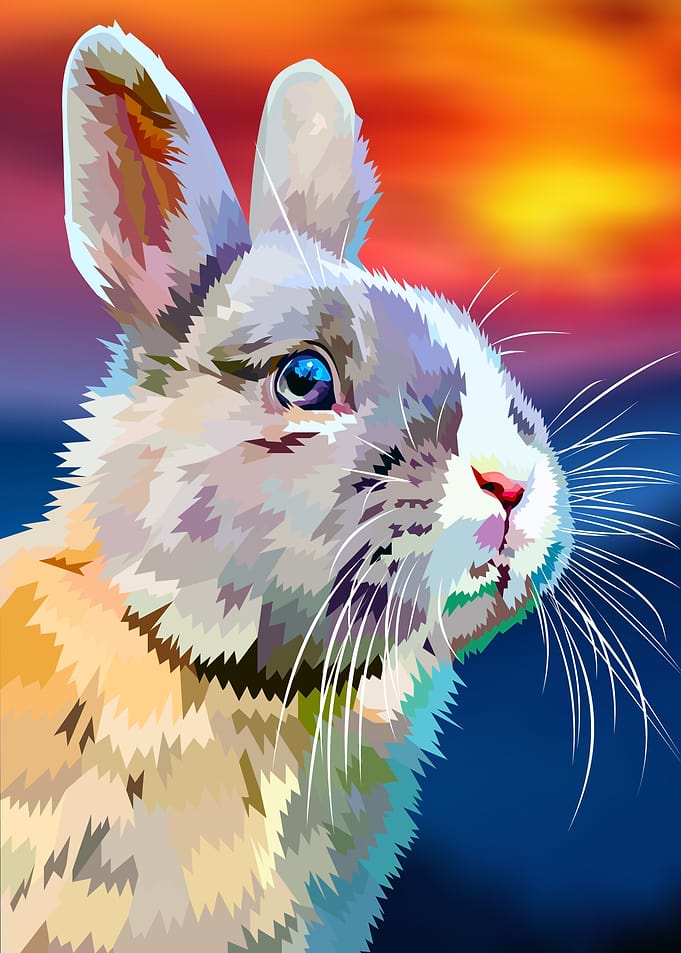 Sunset Bunny