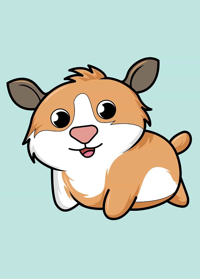 Cartoon Guinea Pig