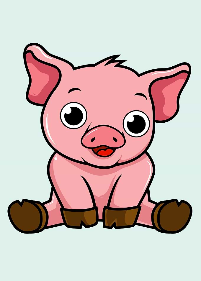 Cartoon Pig
