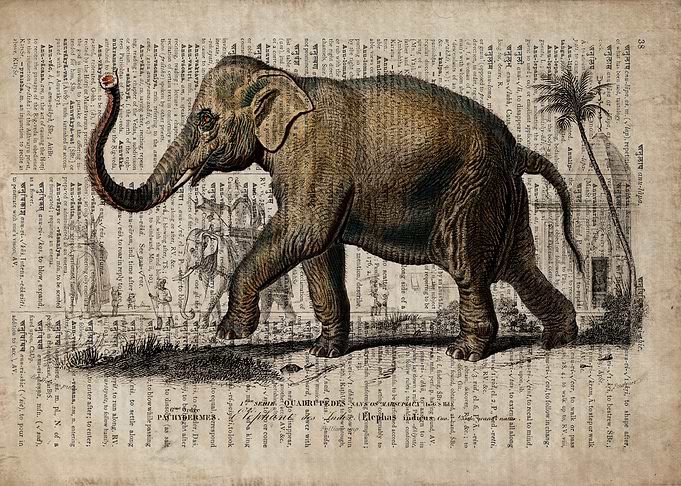 Elephant on old paper