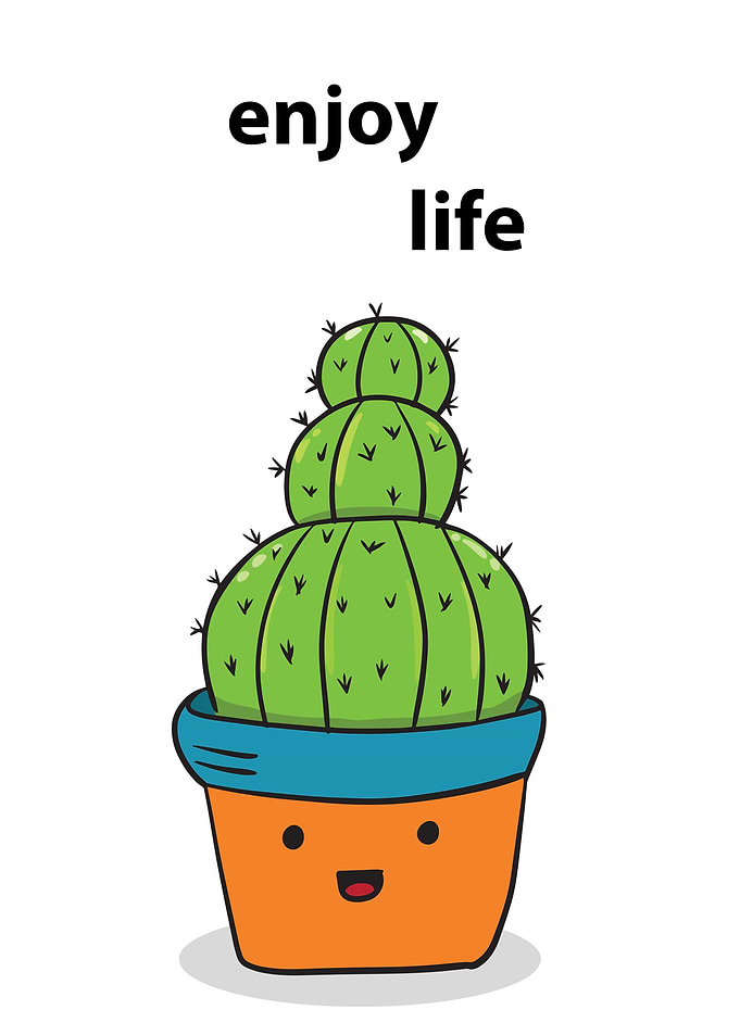 cute enjoy life cactus