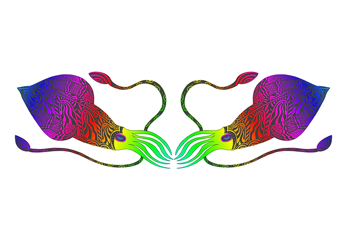 Rainbow Squids on white