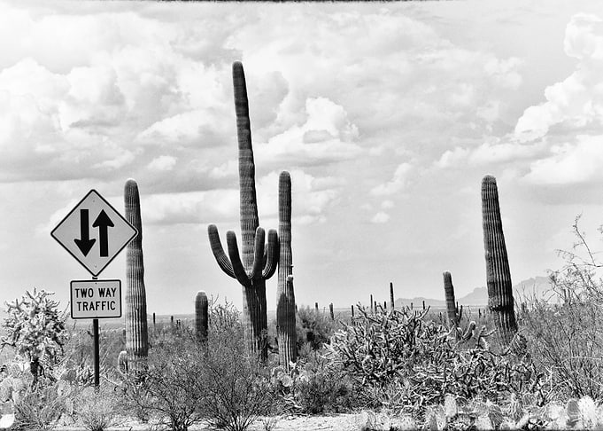 Saguarro national Park