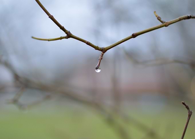 Suomenlinna drops