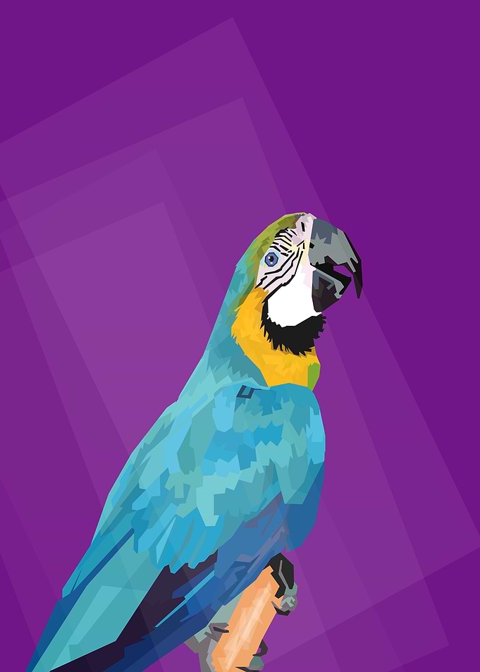 spixc macau birds